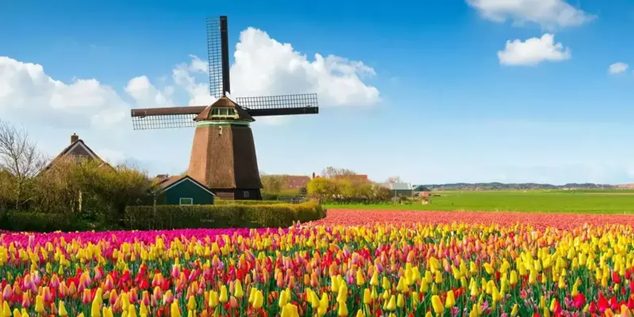 Rekomendasi Perguruan Tinggi Belanda Terbaik