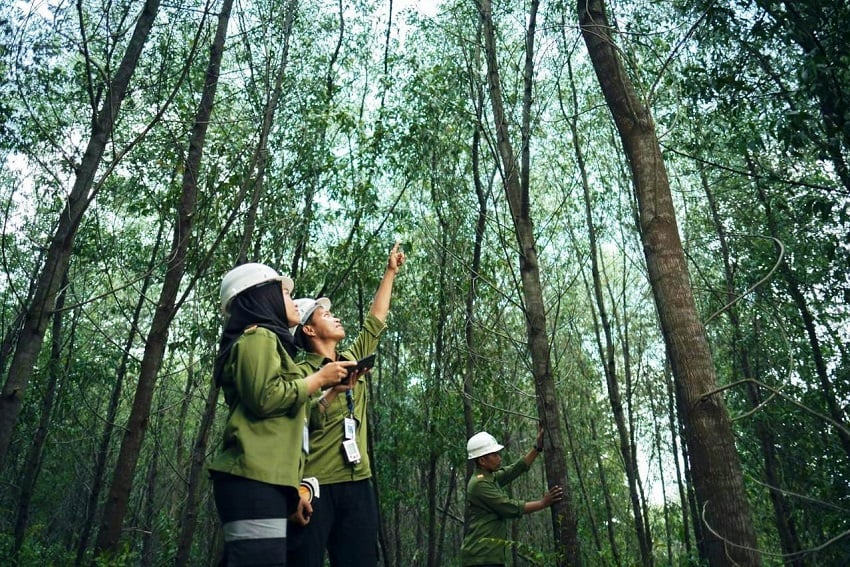 Kampus Fakultas Kehutanan Terbaik